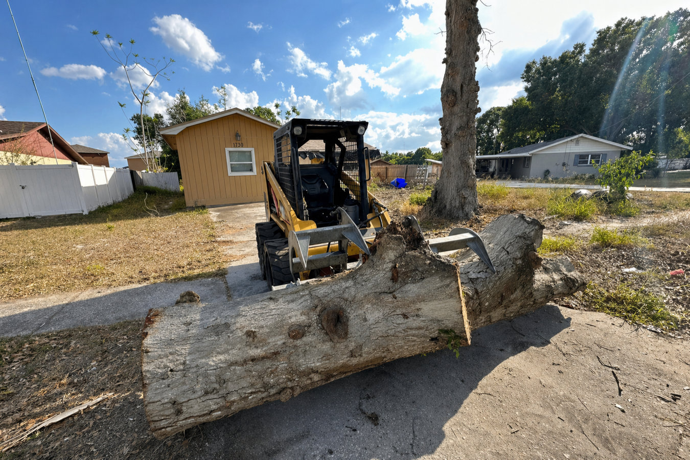 Land clearing in Berkeley, CA