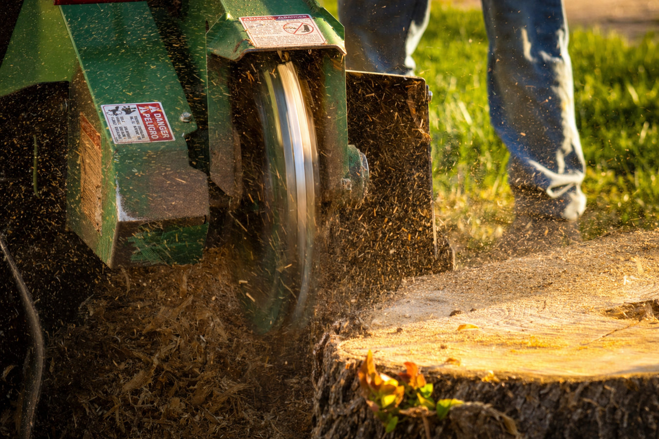 Stump grinding in Berkeley, CA